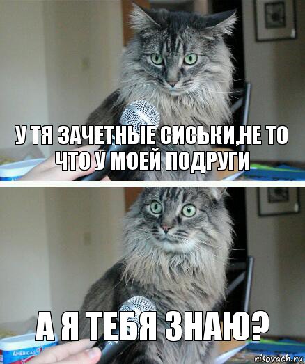 У тя зачетные сиськи,не то что у моей подруги А я тебя знаю?, Комикс  кот с микрофоном