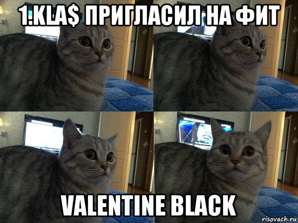 1.kla$ пригласил на фит valentine black, Мем  Кот в шоке