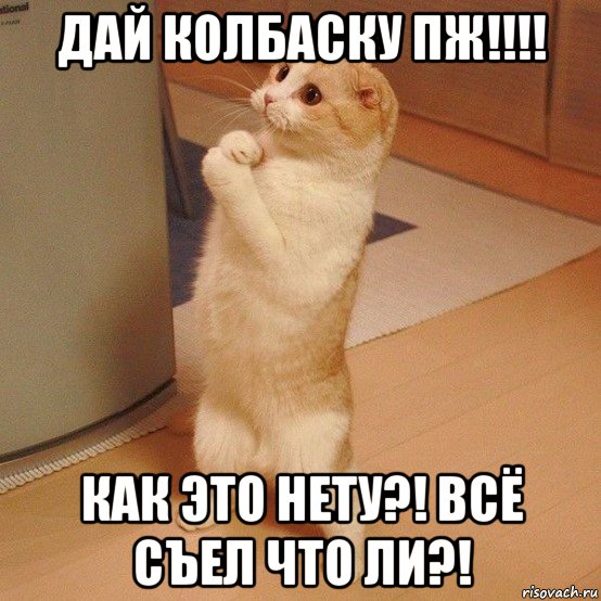 дай колбаску пж!!!! как это нету?! всё съел что ли?!