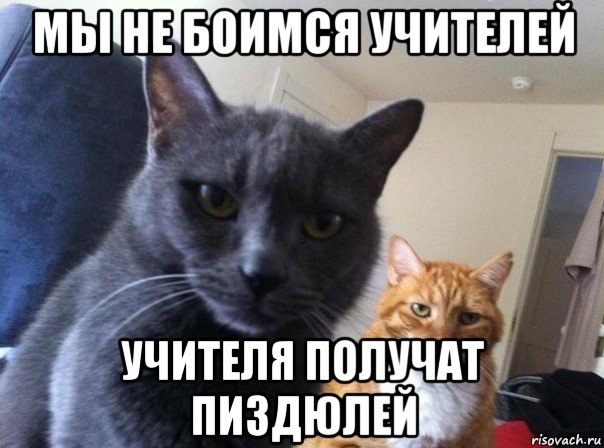 мы не боимся учителей учителя получат пиздюлей, Мем  Два котэ