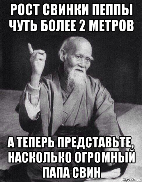 рост свинки пеппы чуть более 2 метров а теперь представьте, насколько огромный папа свин, Мем Монах-мудрец (сэнсей)