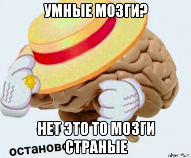 умные мозги? нет это то мозги страные, Мем   Моя остановочка мозг