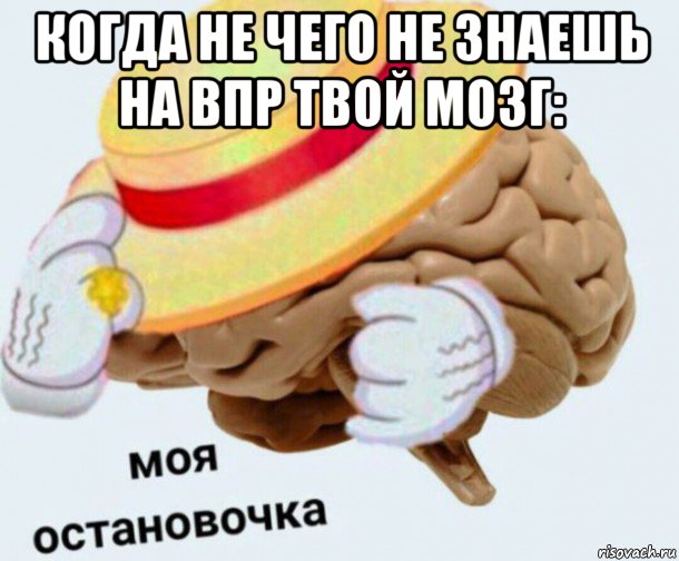 когда не чего не знаешь на впр твой мозг: 