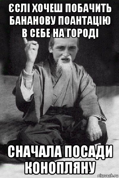 єслі хочеш побачить бананову поантацію в себе на городі сначала посади конопляну, Мем Мудрий паца