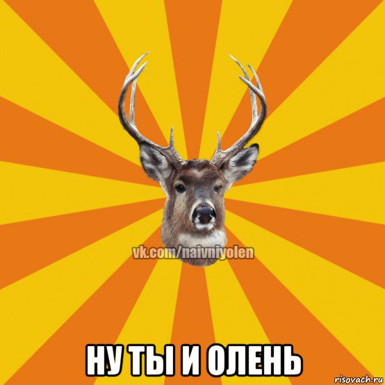  ну ты и олень