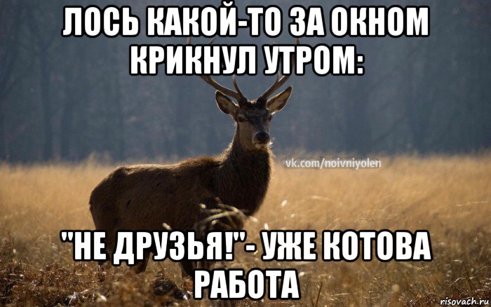 лось какой-то за окном крикнул утром: "не друзья!"- уже котова работа, Мем Наивный Олень vk2