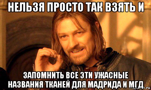 нельзя просто так взять и запомнить все эти ужасные названия тканей для мадрида и мгд, Мем Нельзя просто так взять и (Боромир мем)