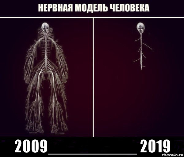  2009__________ 2019, Мем Нервная система