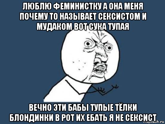 люблю феминистку а она меня почему то называет сексистом и мудаком вот сука тупая вечно эти бабы тупые тёлки блондинки в рот их ебать я не сексист, Мем Ну почему