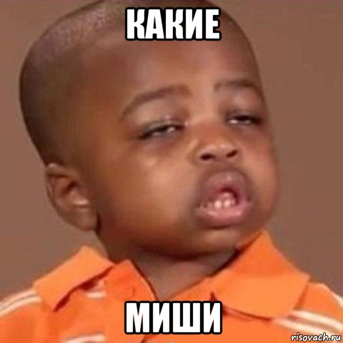какие миши