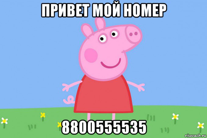 привет мой номер 8800555535, Мем Пеппа