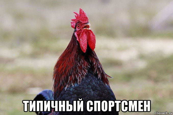  типичный спортсмен