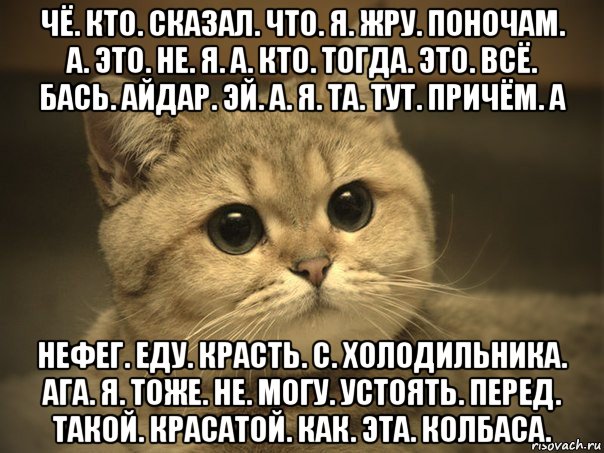 чё. кто. сказал. что. я. жру. поночам. а. это. не. я. а. кто. тогда. это. всё. бась. айдар. эй. а. я. та. тут. причём. а нефег. еду. красть. с. холодильника. ага. я. тоже. не. могу. устоять. перед. такой. красатой. как. эта. колбаса., Мем Пидрила ебаная котик