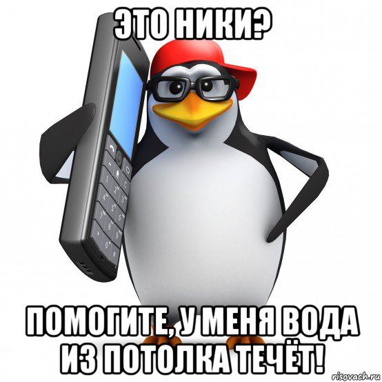 это ники? помогите, у меня вода из потолка течёт!, Мем   Пингвин звонит