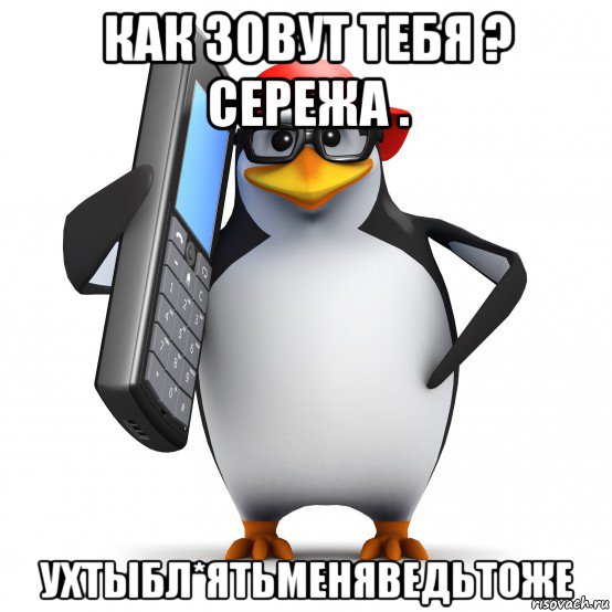 как зовут тебя ? сережа . ухтыбл*ятьменяведьтоже, Мем   Пингвин звонит