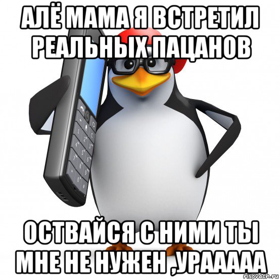 алё мама я встретил реальных пацанов оствайся с ними ты мне не нужен ,урааааа, Мем   Пингвин звонит