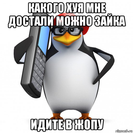 какого хуя мне достали можно зайка идите в жопу, Мем   Пингвин звонит