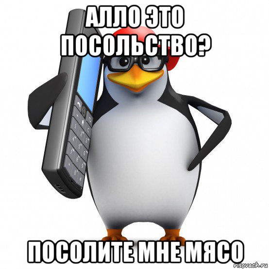 алло это посольство? посолите мне мясо, Мем   Пингвин звонит