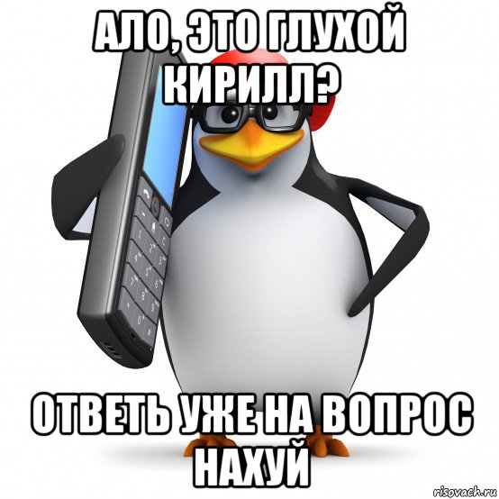 ало, это глухой кирилл? ответь уже на вопрос нахуй, Мем   Пингвин звонит