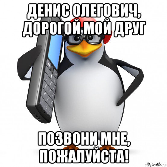 денис олегович, дорогой мой друг позвони мне, пожалуйста!, Мем   Пингвин звонит