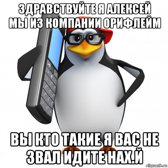 здравствуйте я алексей мы из компании орифлейм вы кто такие я вас не звал идите нах.й, Мем   Пингвин звонит