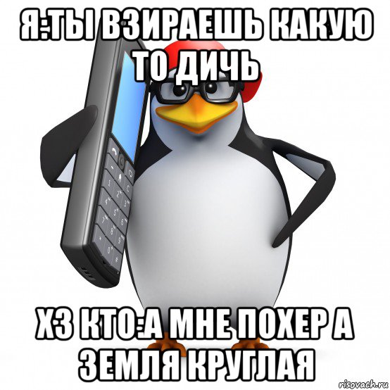 я:ты взираешь какую то дичь хз кто:а мне похер а земля круглая, Мем   Пингвин звонит