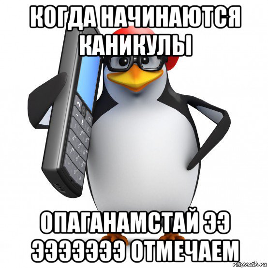 когда начинаются каникулы опаганамстай ээ эээээээ отмечаем, Мем   Пингвин звонит