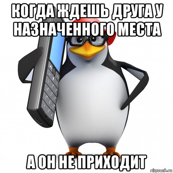 когда ждешь друга у назначенного места а он не приходит, Мем   Пингвин звонит