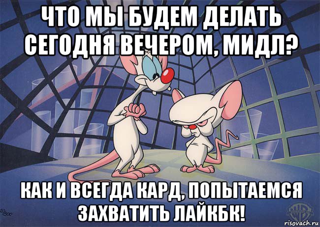 что мы будем делать сегодня вечером, мидл? как и всегда кард, попытаемся захватить лайкбк!