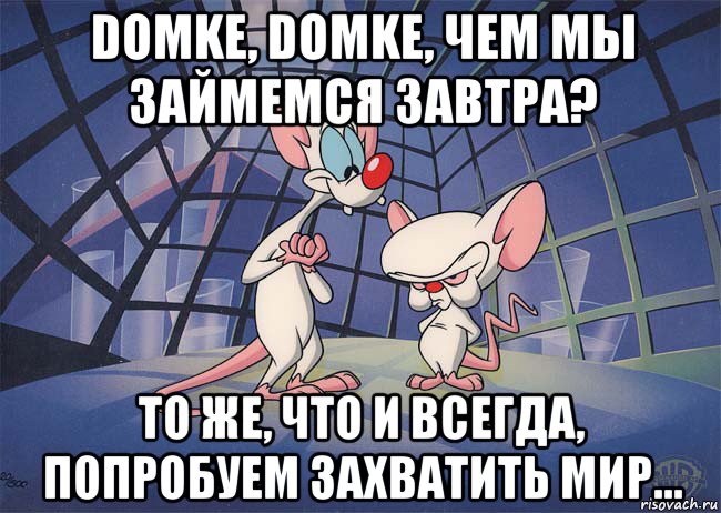 domke, domke, чем мы займемся завтра? то же, что и всегда, попробуем захватить мир...