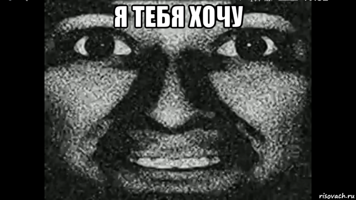 я тебя хочу 