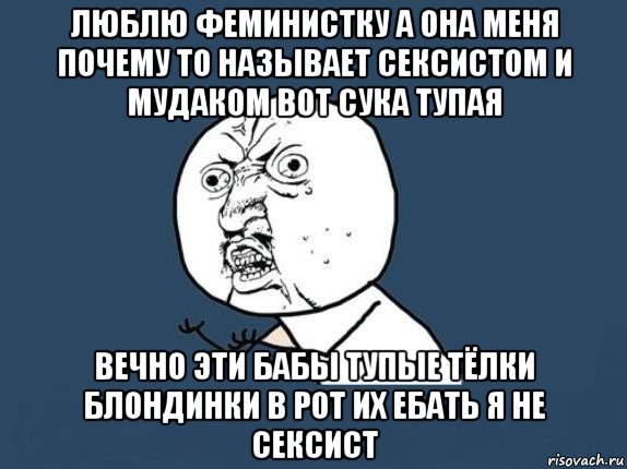 люблю феминистку а она меня почему то называет сексистом и мудаком вот сука тупая вечно эти бабы тупые тёлки блондинки в рот их ебать я не сексист, Мем  почему мем