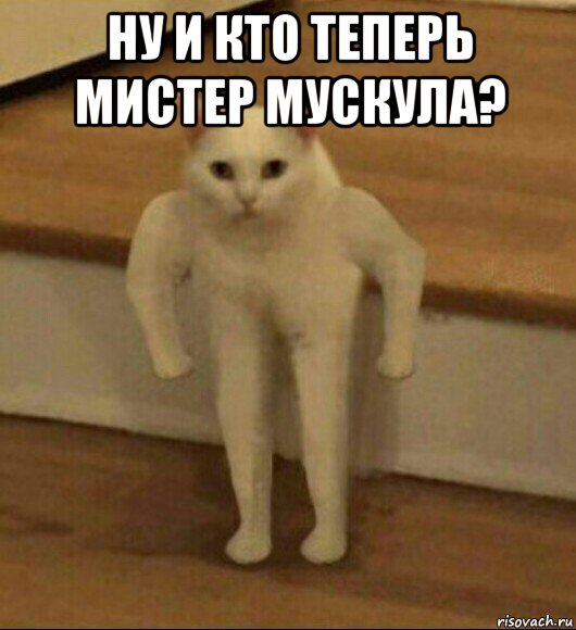 ну и кто теперь мистер мускула? , Мем  Полукот