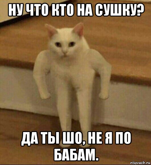 ну что кто на сушку? да ты шо, не я по бабам., Мем  Полукот