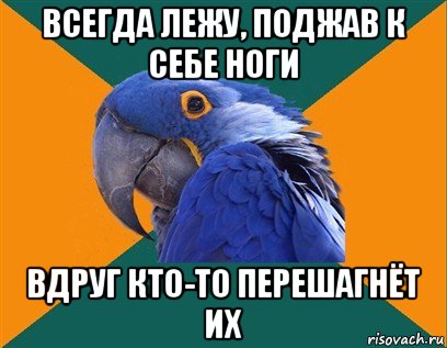 всегда лежу, поджав к себе ноги вдруг кто-то перешагнёт их, Мем Попугай параноик