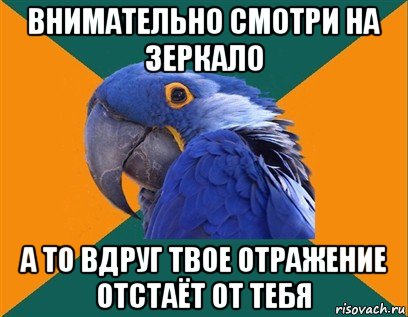 внимательно смотри на зеркало а то вдруг твое отражение отстаёт от тебя, Мем Попугай параноик