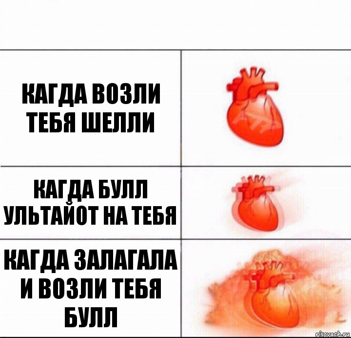 кагда возли тебя шелли кагда булл ультайот на тебя кагда залагала и возли тебя булл