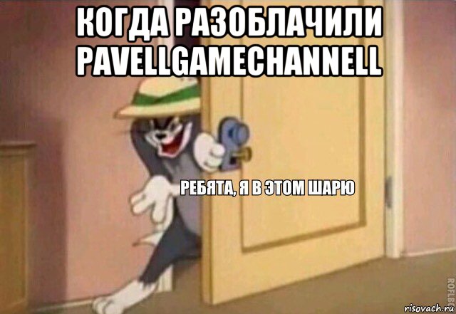 когда разоблачили pavellgamechannell , Мем    Ребята я в этом шарю