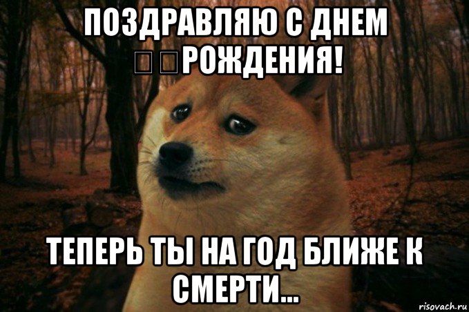 поздравляю с днем ​​рождения! теперь ты на год ближе к смерти..., Мем SAD DOGE