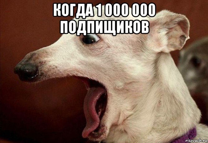 когда 1 000 000 подпищиков , Мем  собака