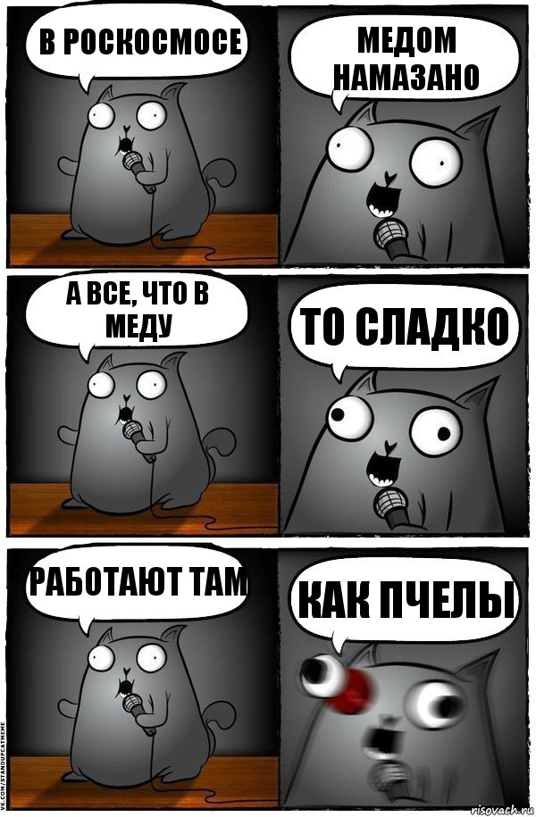 в роскосмосе медом намазано а все, что в меду то сладко работают там как пчелы, Комикс  Стендап-кот