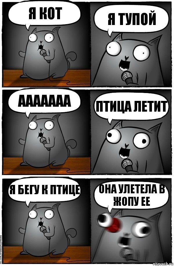 я кот я тупой ааааааа птица летит я бегу к птице она улетела в жопу ее, Комикс  Стендап-кот