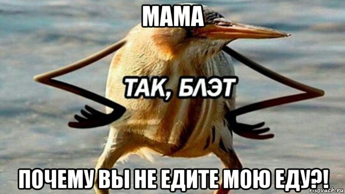 мама почему вы не едите мою еду?!, Мем  Так блэт