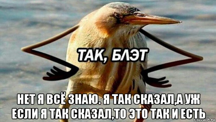  нет я всё знаю. я так сказал,а уж если я так сказал,то это так и есть, Мем  Так блэт