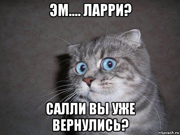 эм.... ларри? салли вы уже вернулись?