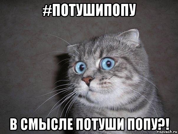 #потушипопу в смысле потуши попу?!