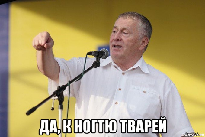  да, к ногтю тварей, Мем Владимир вольфович