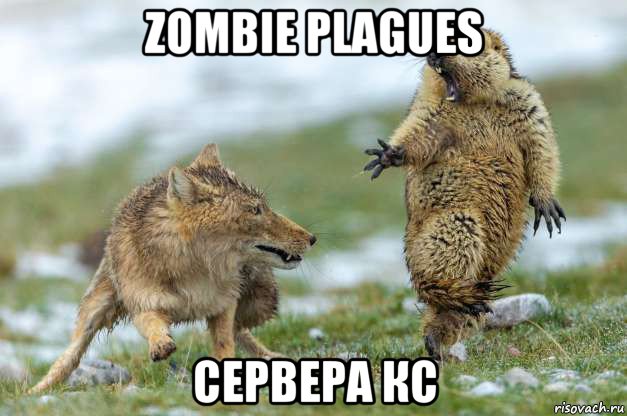 zombie plagues сервера кс, Мем Волк и суслик