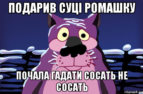 подарив суці ромашку почала гадати сосать не сосать, Мем Волк