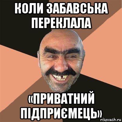 коли забавська переклала «приватний підприємець», Мем Я твой дом труба шатал